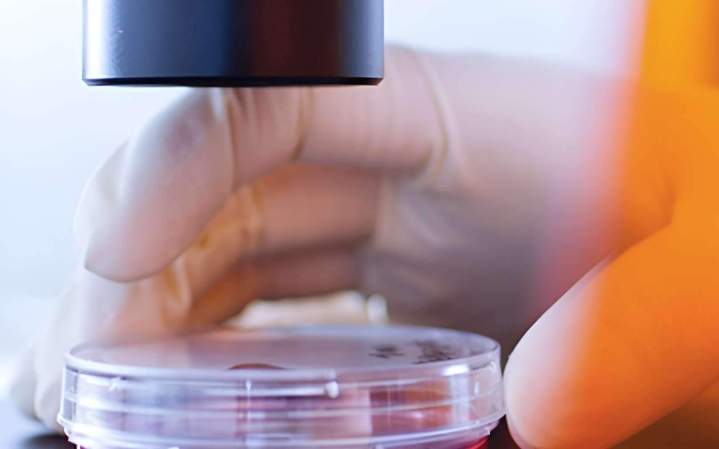 Pose film solaire efficace Le Havre